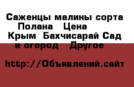 Саженцы малины сорта Полана › Цена ­ 35 - Крым, Бахчисарай Сад и огород » Другое   